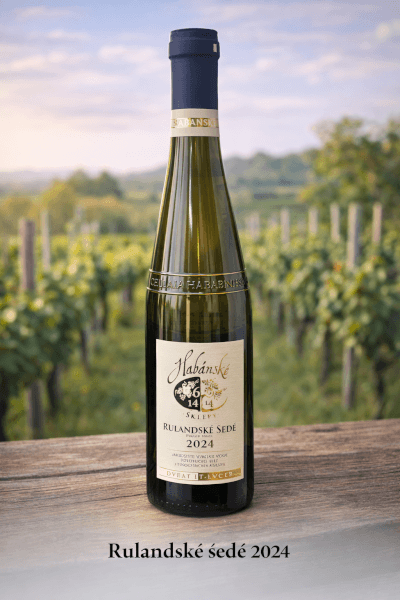 Rulandské šedé (Bílé víno) polosuché